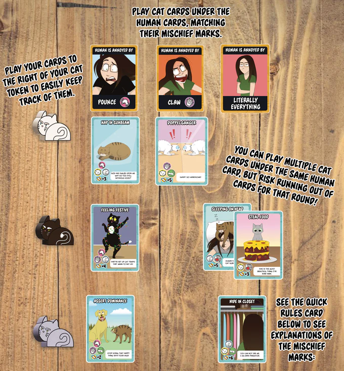 Cat Vs Human *PRE-ORDER* - Image 2