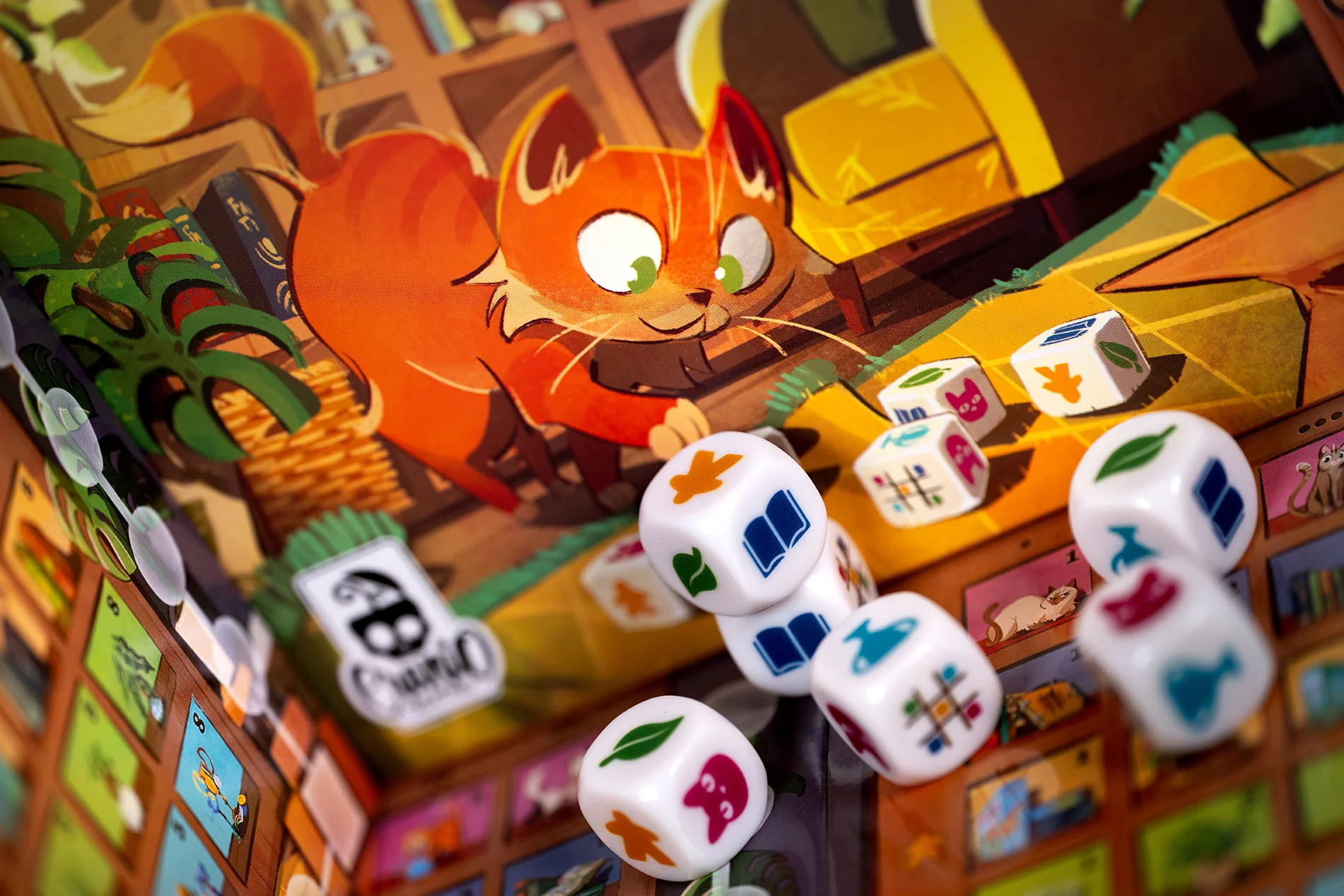 My Shelfie: The Dice Game - Image 2