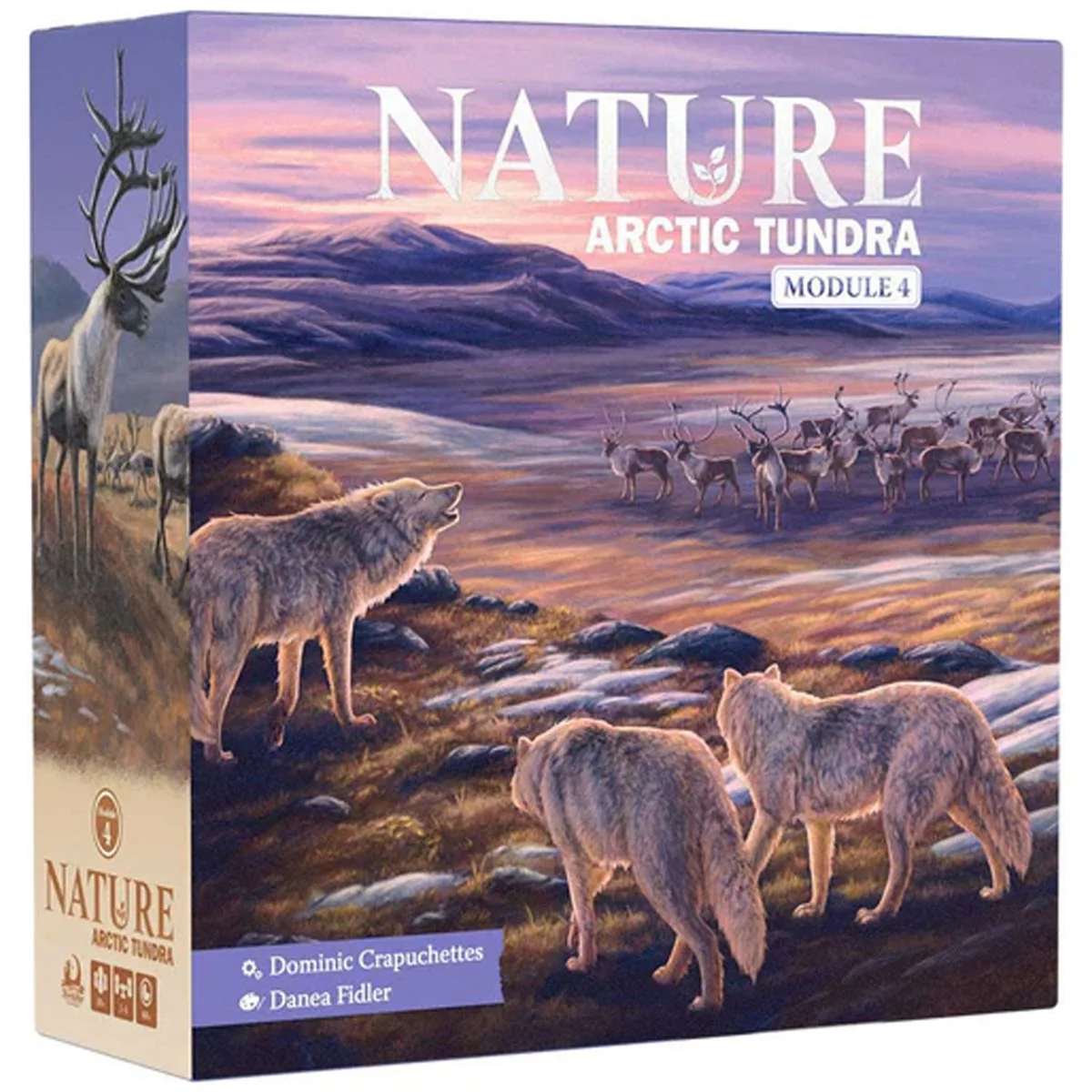 Nature - Module 4: Arctic Tundra - Image 2